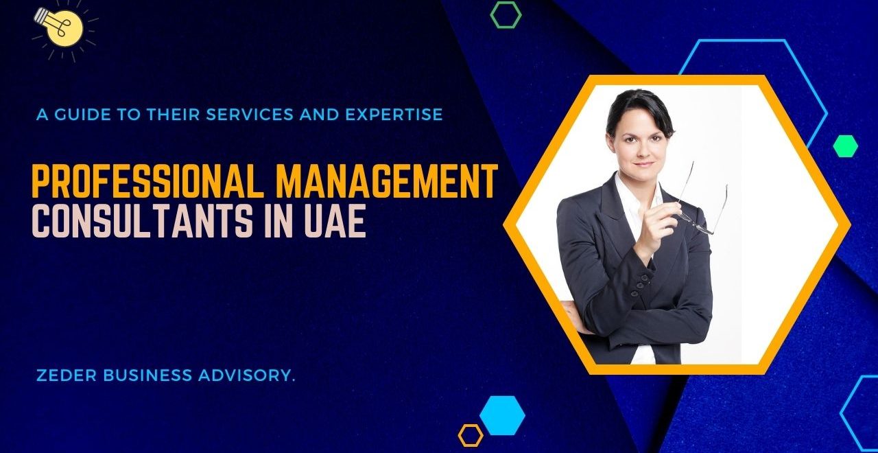 Professional Management Consultants in UAE