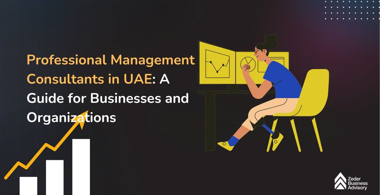 Professional Management Consultants in UAE