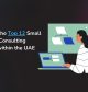 Discover the Top 12 Small Business Consulting Services within the UAE