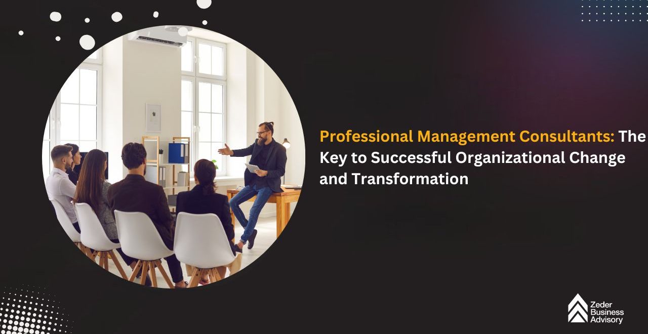 professional management consultants
